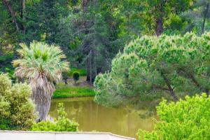 Appartements T2 residence Vaugrenier Presidences : Appartement Supérieur 1 Chambre