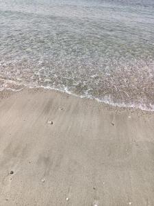 Sunkissed beachfront holiday home