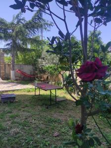Pinwheel Hostel Vlora & Rooftop Bar