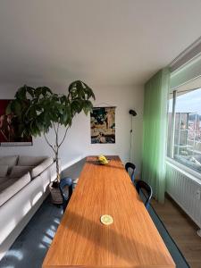 Centrally located and bright home with a view