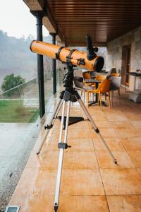 Quinta Picouto de Cima