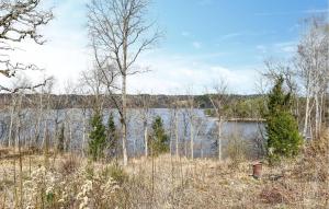 Lovely Home In Rimforsa With Lake View