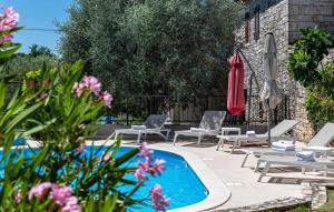 Villa Orchidea 