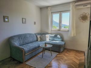 Apartment Cesarica