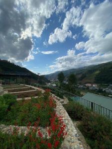 Nhà trên đồi - Windy Hill