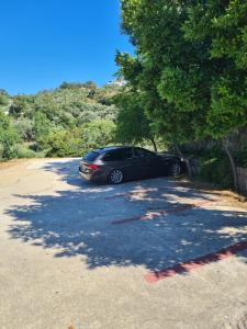 Panoramic Garden view