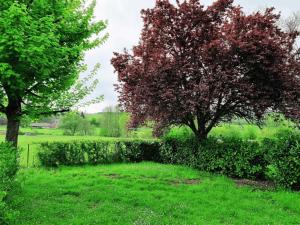 Camping de Charlieu - Mobile home