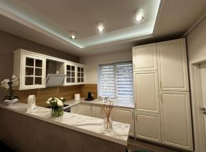 Apartament de lux central