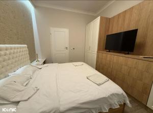 Apartament de lux central