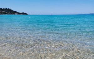 Appartements Nice Apartment In Vico : photos des chambres