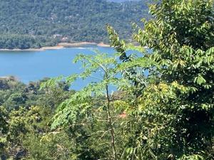 Woodlands Homestay - Kandy
