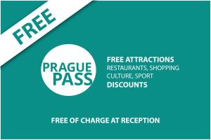 Single Room room in Louis Leger