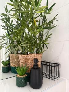 Welcome Guests City Centre Apartment