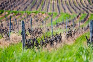 Entre Couette & Bulles