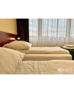 Standard Twin Room room in Hotel SiLL