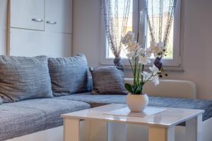 Modern App Pinija with terrace & BBQ, Mali Lošinj