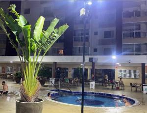 Apto Perfeito Locação Temporada