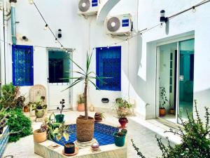 Roftop view Sidibousaid