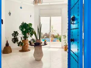 Roftop view Sidibousaid