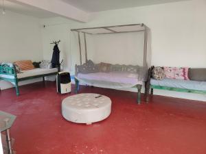 Baba Yaga Nest Beach Farm House