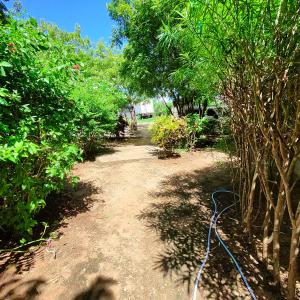 Baba Yaga Nest Beach Farm House