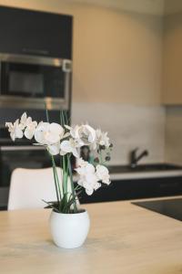 Appartements COC - L'Entre Deux Caps : photos des chambres