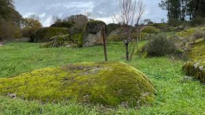 Casa dos Moinhos de Aveia