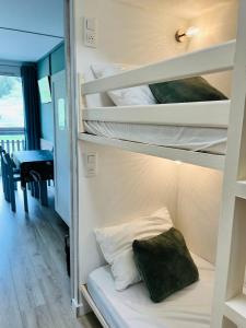 Le Vert Montagne Studio lumineux plein sud