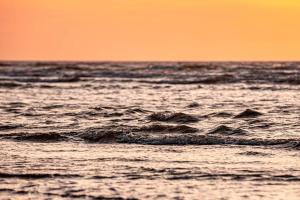 Familien Animation Cafe Spielplätze Meerblick WLAN