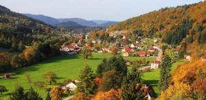 Chalets BEAUTIFUL CHALET in nature near Gerardmer! : photos des chambres