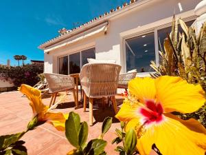 Luxury modern beachfront villa