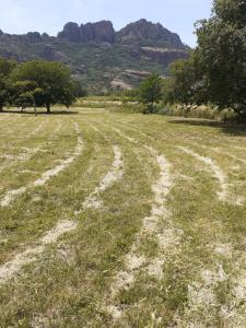 Maisons de vacances BERGERIE AU BORD DU LAC Acces Prive : photos des chambres