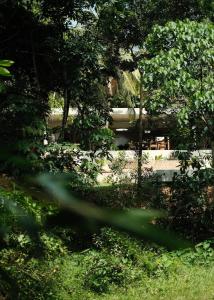 Konkrit, Tropical Brutalist Villa in Ahangama