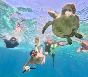 Villa Rosita - Apo Island