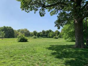 Entire flat in Wandsworth