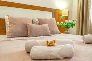 Albatros Garden & Heated Pool