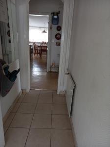 Apartment Zorec
