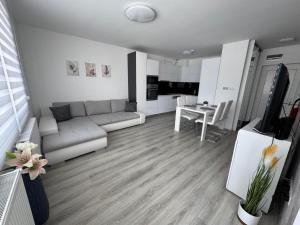 Bajcsy Corner