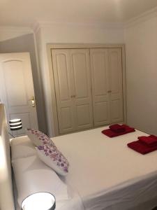 Cómodo apartamento céntrico