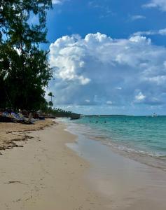 Jojos Caribbean Retreat