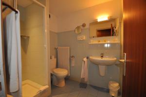 Hotels Le Relais De La Vallee : Chambre Simple Standard avec Douche