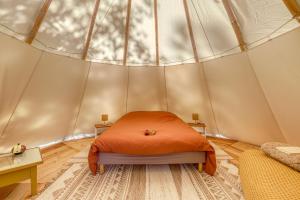 Tentes de luxe Tipi a Roussillon : photos des chambres