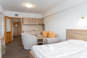 Studio with Kitchenette room in Hotel Toliar