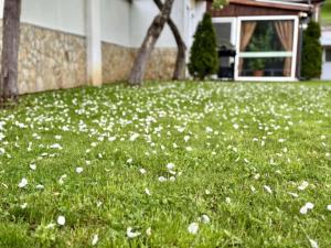 Guest House Mihalkovo