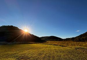 Perfect Perch at Three Suns Cabins