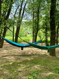 Perfect Perch at Three Suns Cabins