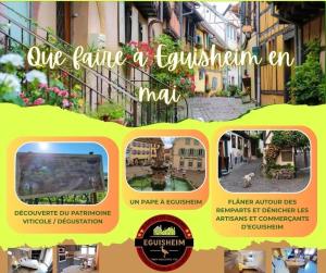 Appartements Gite St Leon a Eguisheim : photos des chambres