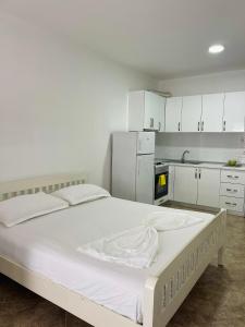 Shengjini Coast Apartments