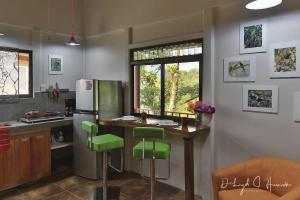 Laughing Falcon Studio