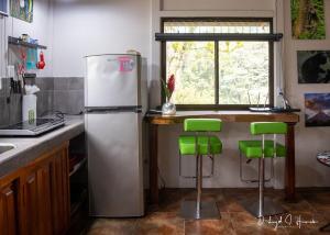 Laughing Falcon Studio